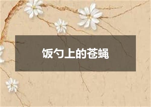 饭勺上的苍蝇