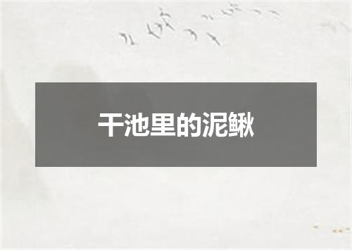 干池里的泥鳅
