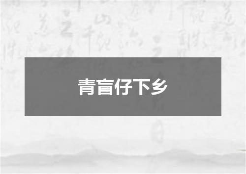 青盲仔下乡