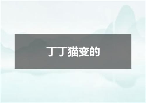 丁丁猫变的