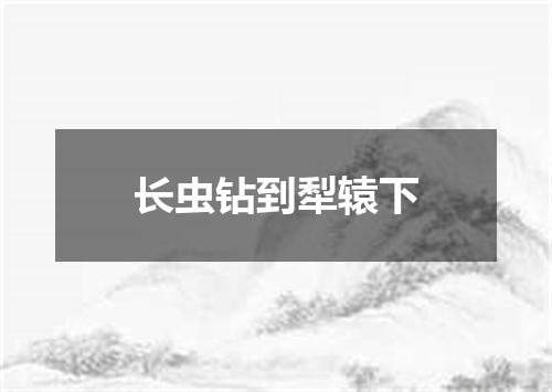 长虫钻到犁辕下