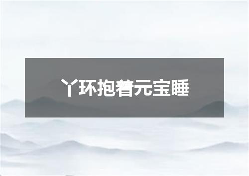 丫环抱着元宝睡