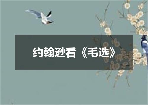 约翰逊看《毛选》