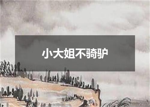 小大姐不骑驴