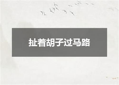 扯着胡子过马路