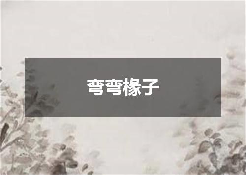 弯弯椽子