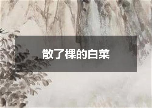 散了棵的白菜