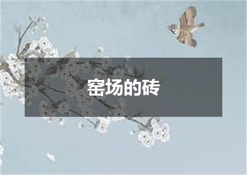 窑场的砖