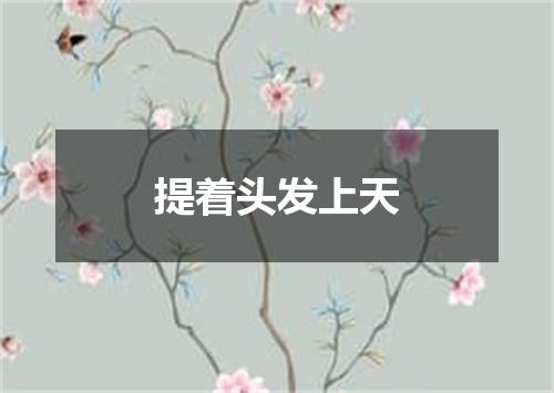 提着头发上天