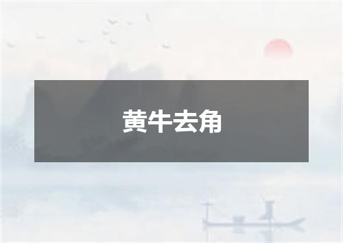 黄牛去角