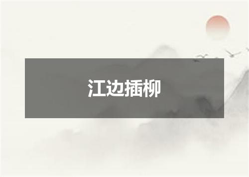 江边插柳