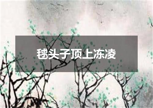 毬头子顶上冻凌