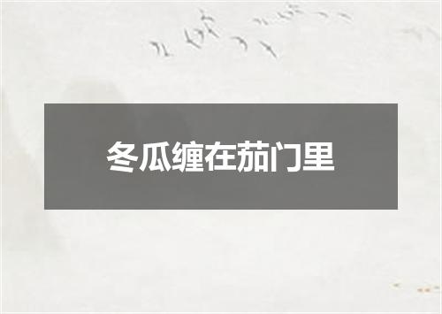 冬瓜缠在茄门里