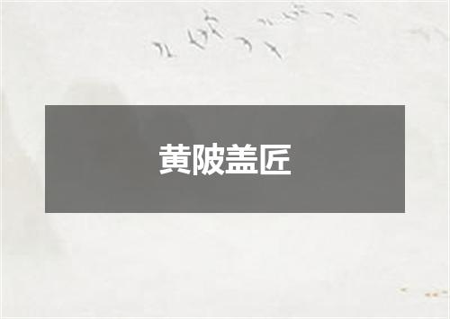 黄陂盖匠