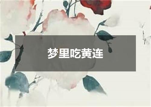 梦里吃黄连