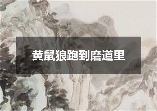 黄鼠狼跑到磨道里
