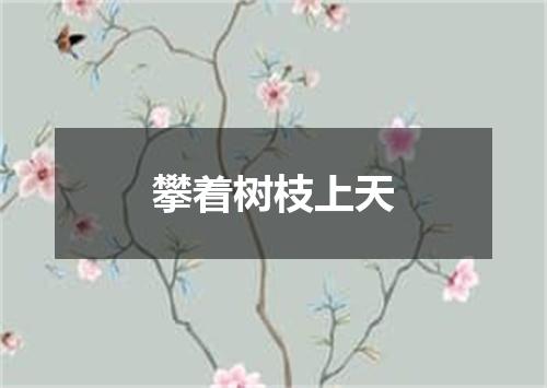 攀着树枝上天