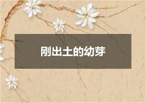 刚出土的幼芽