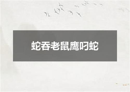 蛇吞老鼠鹰叼蛇