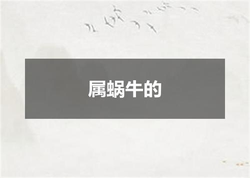 属蜗牛的
