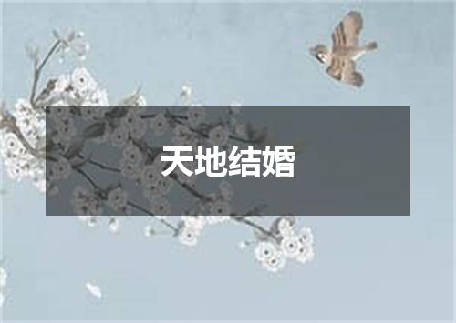 天地结婚