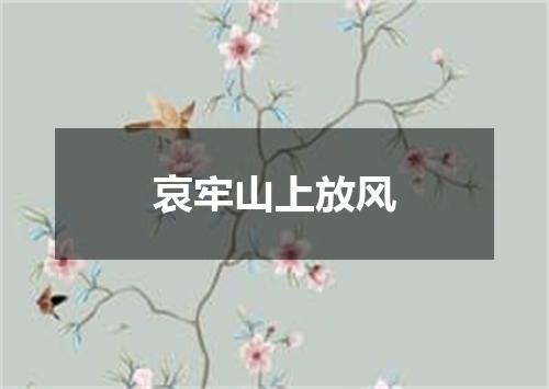 哀牢山上放风