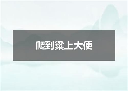 爬到粱上大便