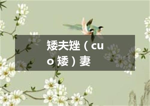 矮夫矬（cuo 矮）妻