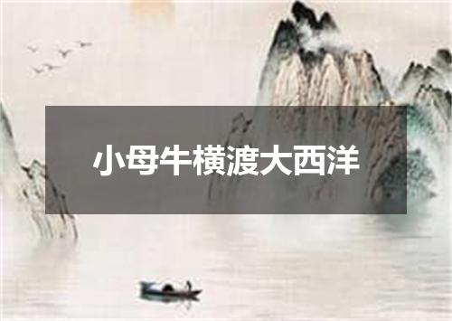 小母牛横渡大西洋