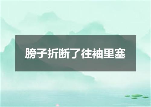 膀子折断了往袖里塞