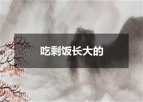 吃剩饭长大的