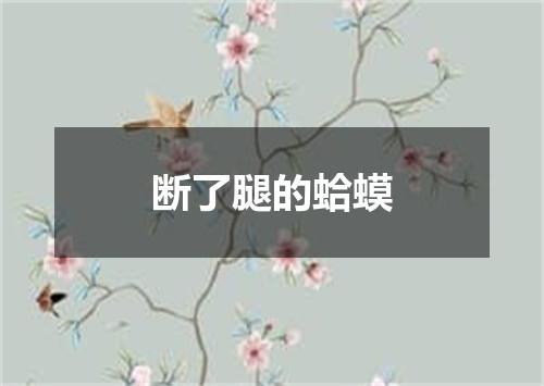 断了腿的蛤蟆