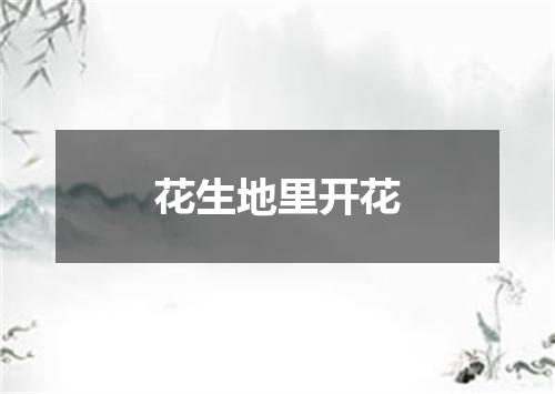 花生地里开花