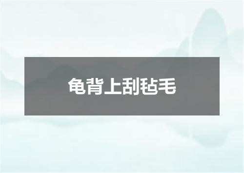 龟背上刮毡毛