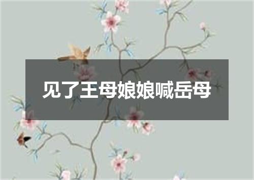 见了王母娘娘喊岳母