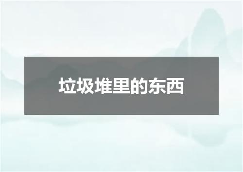 垃圾堆里的东西