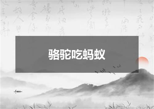 骆驼吃蚂蚁