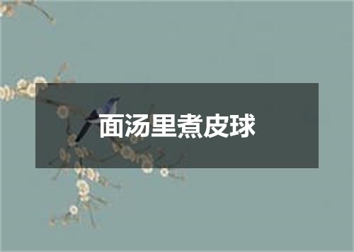 面汤里煮皮球