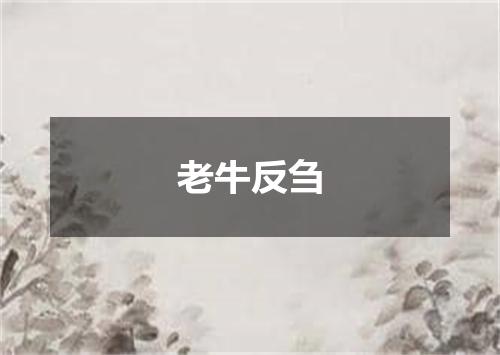 老牛反刍