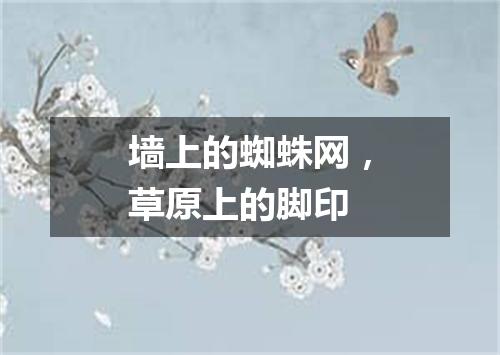 墙上的蜘蛛网，草原上的脚印