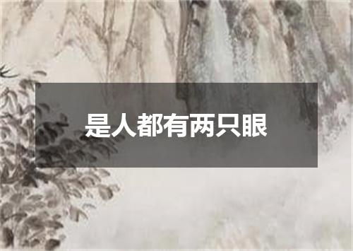 是人都有两只眼