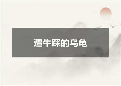 遭牛踩的乌龟