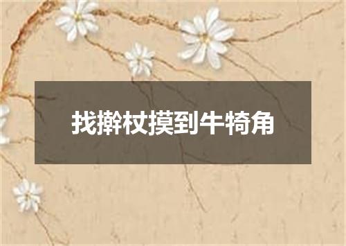 找擀杖摸到牛犄角