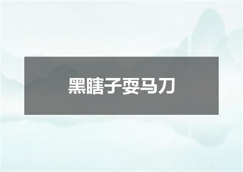 黑瞎子耍马刀