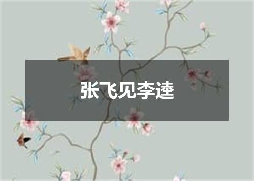 张飞见李逵