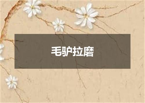 毛驴拉磨