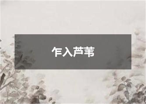 乍入芦苇
