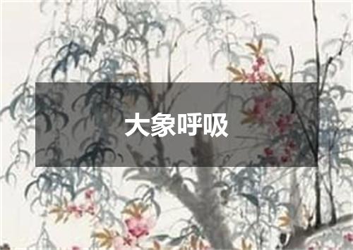 大象呼吸