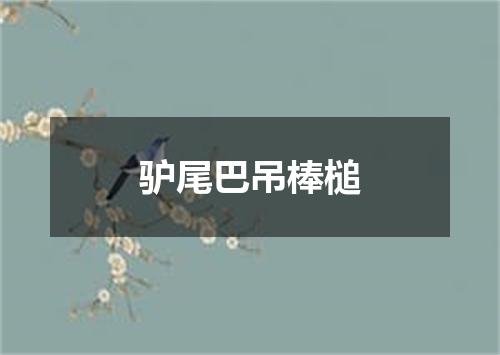 驴尾巴吊棒槌