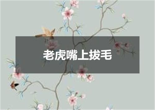 老虎嘴上拔毛
